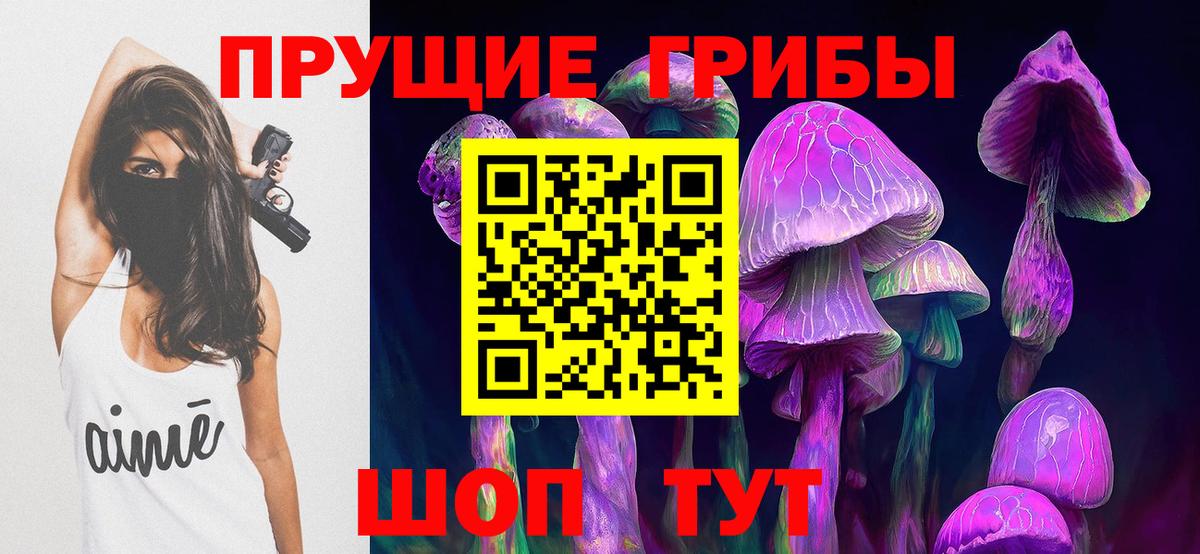 Псилоцибиновые грибы Psilocybe Фролово